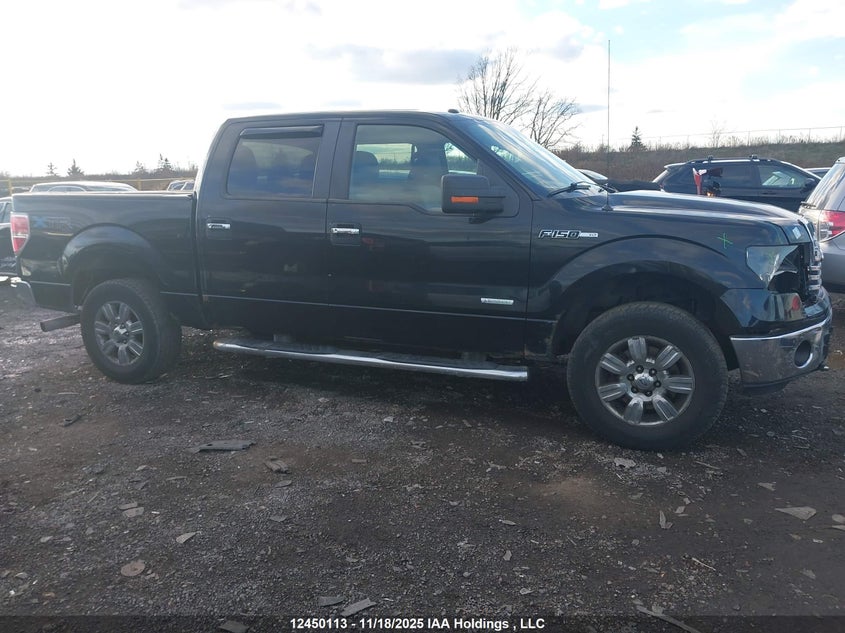 1FTFW1ETXBFB19384 2011 FORD F-150 photo no. 13