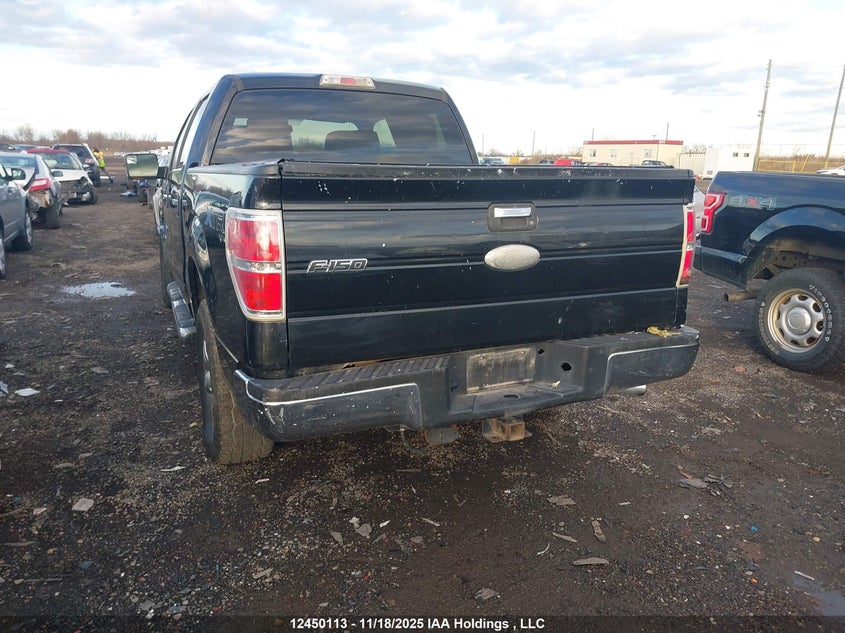 1FTFW1ETXBFB19384 2011 FORD F-150 photo no. 3