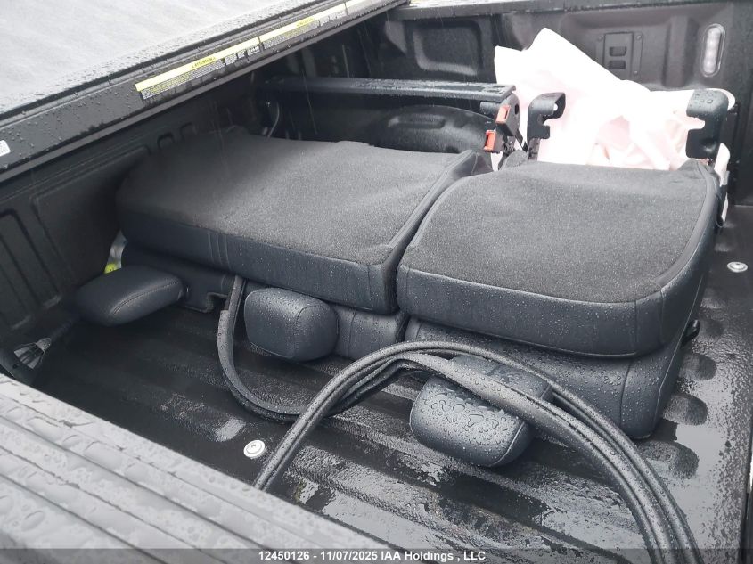 2025 Ford F-150 VIN: 1FTFW5LD9SFB74346 Lot: 12450126