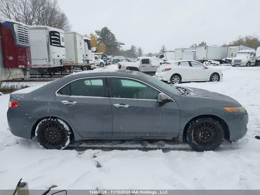 2009 Acura Tsx VIN: JH4CU26429C803796 Lot: 12450205