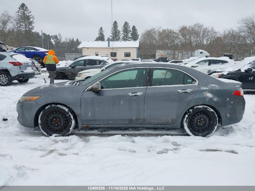 2009 Acura Tsx VIN: JH4CU26429C803796 Lot: 12450205