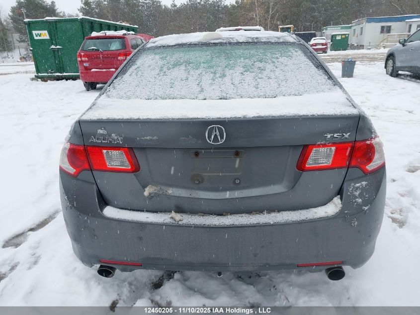2009 Acura Tsx VIN: JH4CU26429C803796 Lot: 12450205