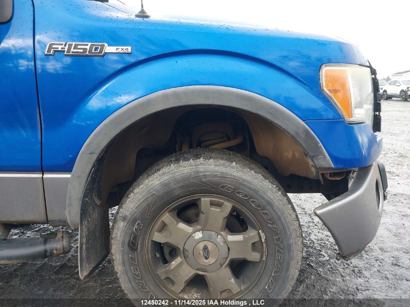 2009 Ford F-150 Fx4/Xlt VIN: 1FTPX04V79KA76218 Lot: 12450242