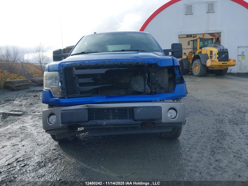 2009 Ford F-150 Fx4/Xlt VIN: 1FTPX04V79KA76218 Lot: 12450242