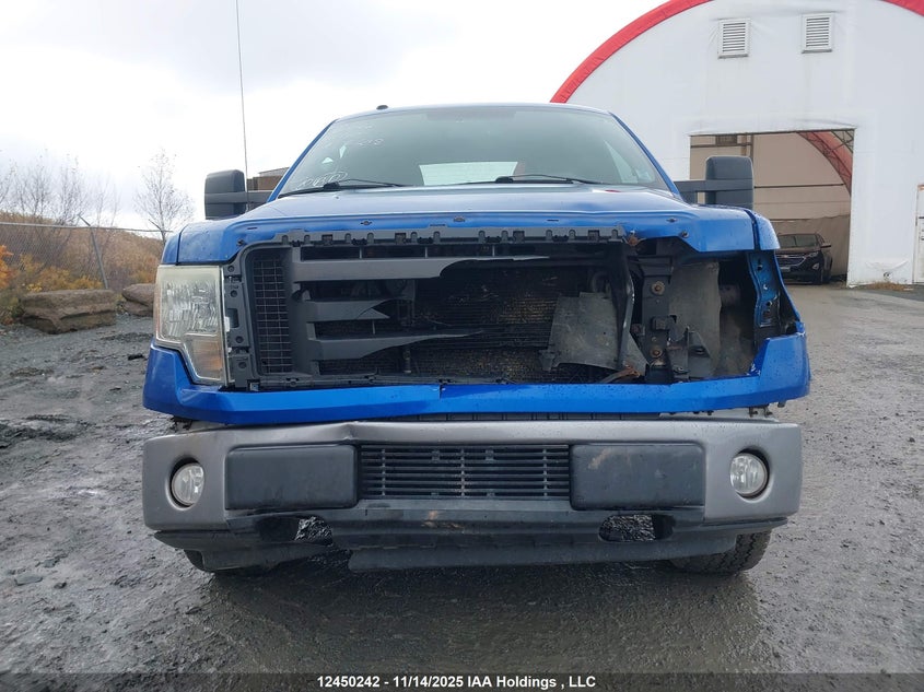 2009 Ford F-150 Fx4/Xlt VIN: 1FTPX04V79KA76218 Lot: 12450242