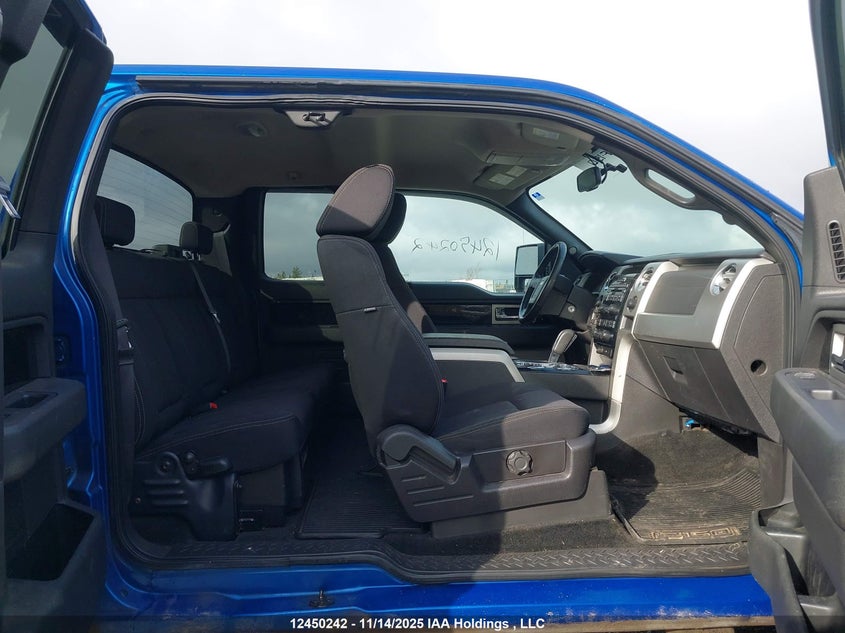 2009 Ford F-150 Fx4/Xlt VIN: 1FTPX04V79KA76218 Lot: 12450242