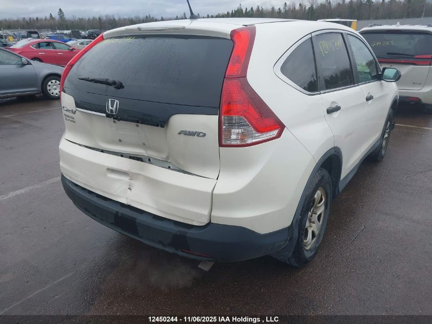 2014 Honda Cr-V Lx VIN: 2HKRM4H36EH116007 Lot: 12450244