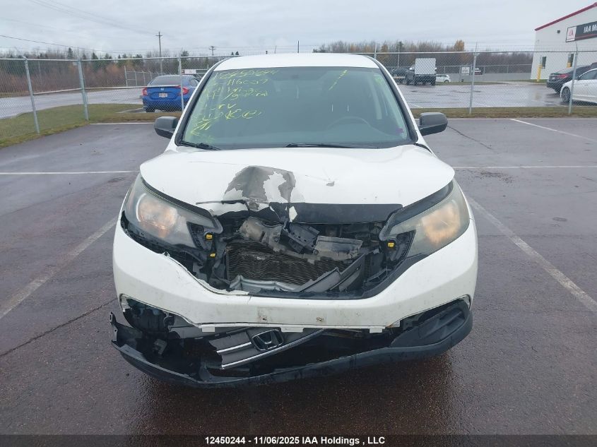 2014 Honda Cr-V Lx VIN: 2HKRM4H36EH116007 Lot: 12450244