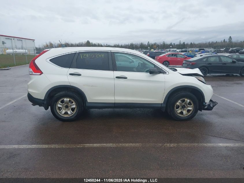 2014 Honda Cr-V Lx VIN: 2HKRM4H36EH116007 Lot: 12450244