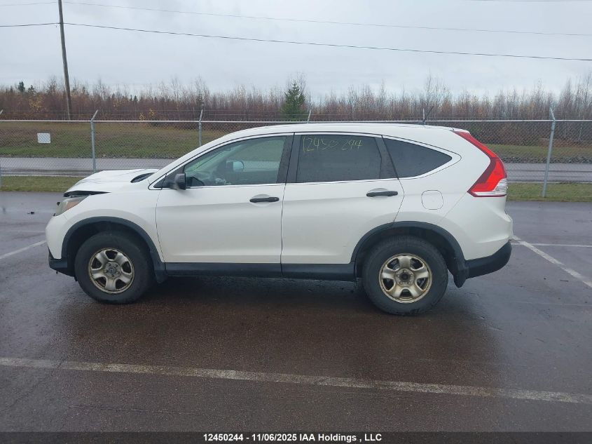 2014 Honda Cr-V Lx VIN: 2HKRM4H36EH116007 Lot: 12450244