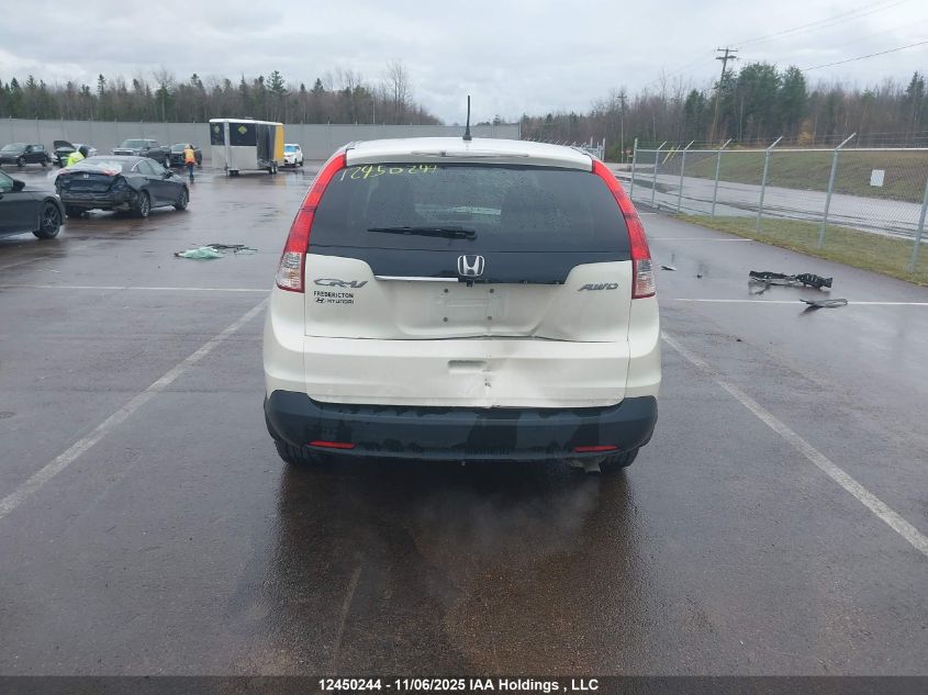 2014 Honda Cr-V Lx VIN: 2HKRM4H36EH116007 Lot: 12450244