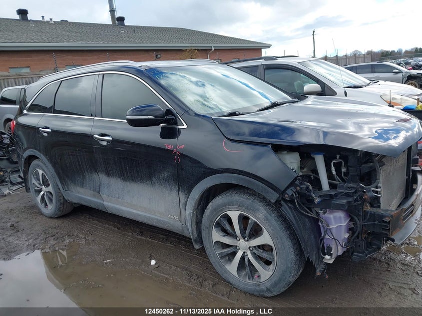 5XYPHDA56GG162955 2016 KIA SORENTO photo no. 12