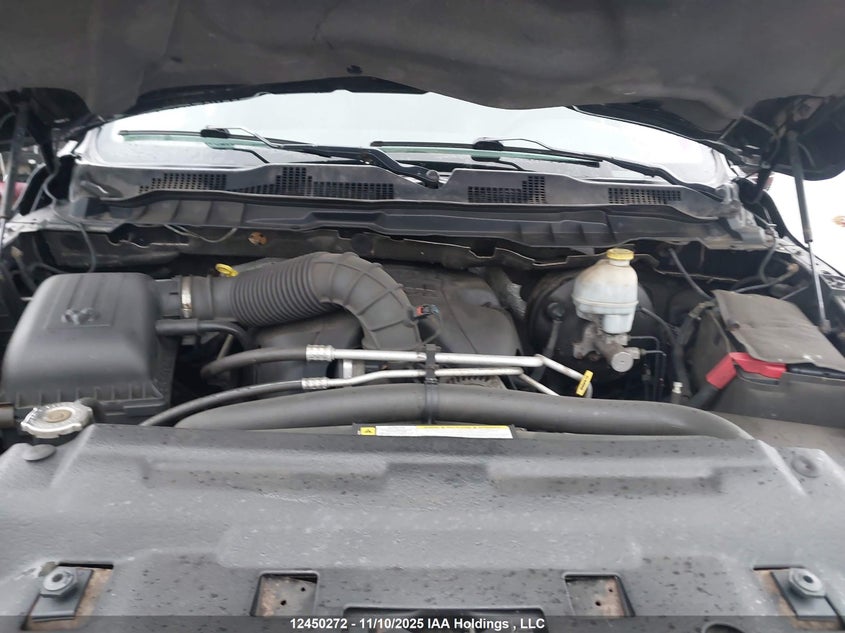 2010 Dodge Ram 1500 Slt/Sport/Trx VIN: 1D7RV1GT2AS215213 Lot: 12450272