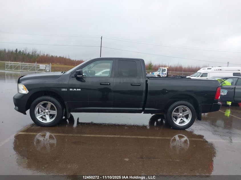 2010 Dodge Ram 1500 Slt/Sport/Trx VIN: 1D7RV1GT2AS215213 Lot: 12450272