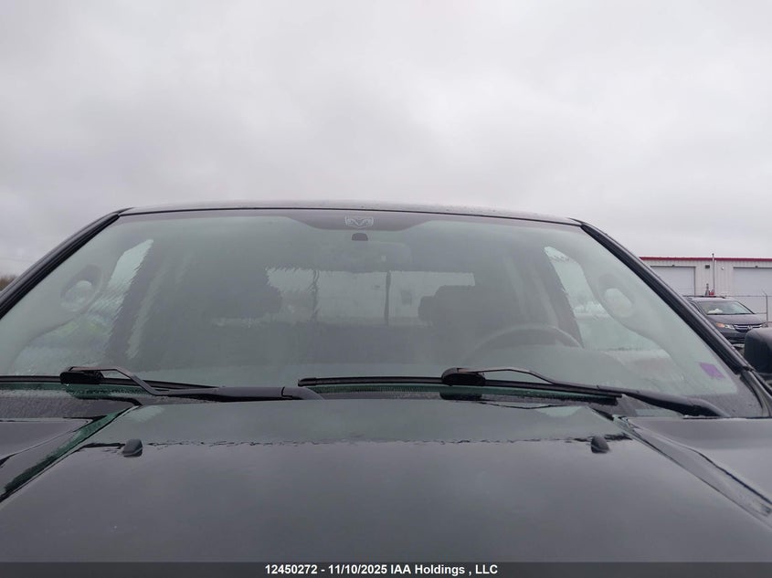 2010 Dodge Ram 1500 Slt/Sport/Trx VIN: 1D7RV1GT2AS215213 Lot: 12450272