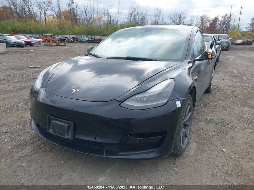 2022 Tesla Model 3 VIN: 5YJ3E1EB5NF278822 Lot: 12450284