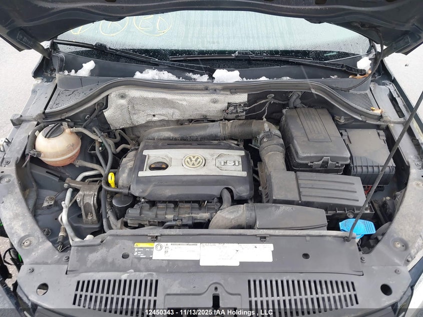 WVGJV3AX9DW616510 2013 VOLKSWAGEN TIGUAN photo no. 10