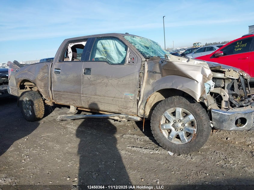 2013 Ford F-150 Xlt VIN: 1FTFW1ET7DFC08106 Lot: 12450364