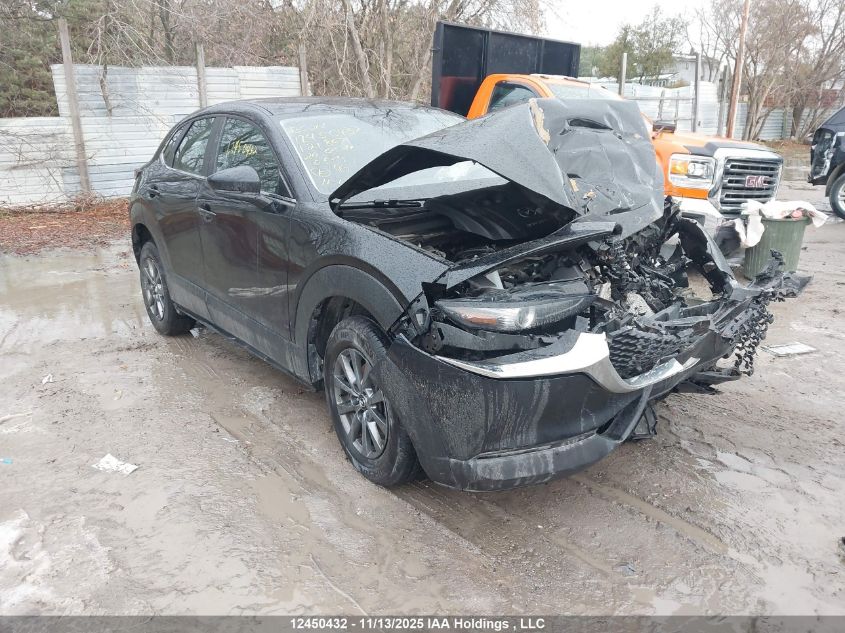 2020 Mazda Cx-30 Gx VIN: 3MVDMBB78LM121807 Lot: 12450432