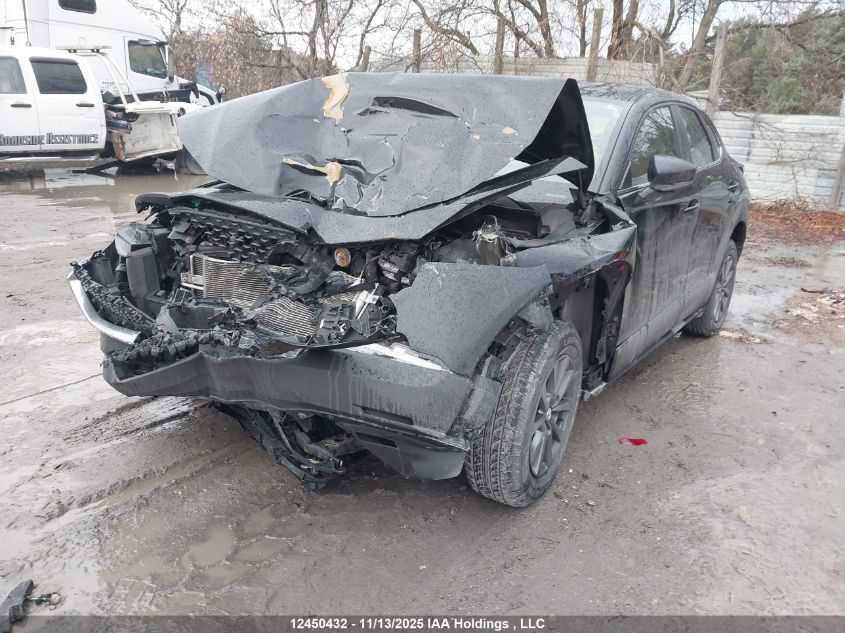 2020 Mazda Cx-30 Gx VIN: 3MVDMBB78LM121807 Lot: 12450432