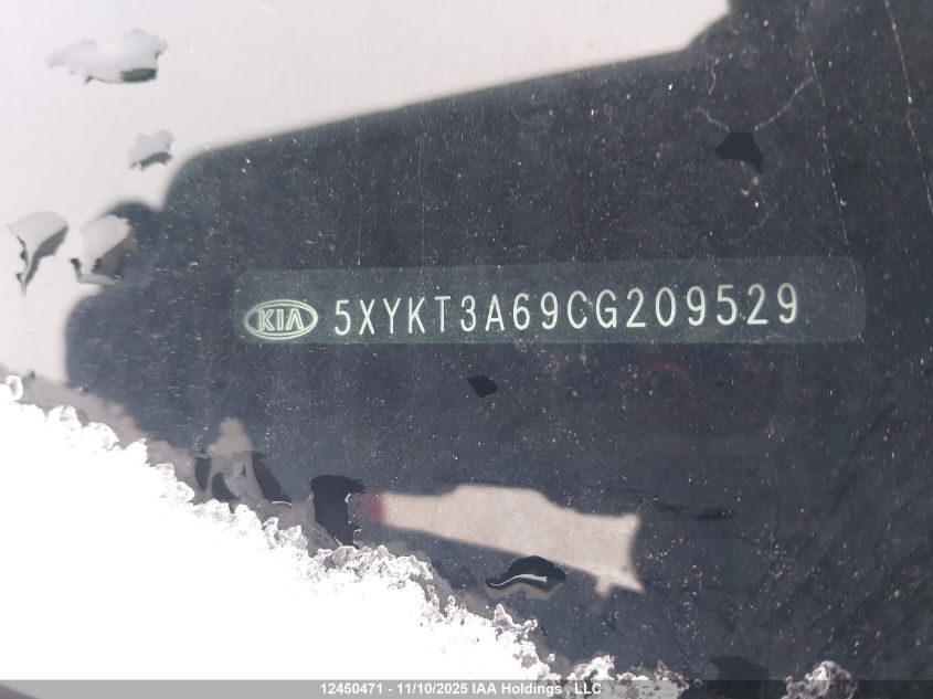 2012 Kia Sorento Lx VIN: 5XYKT3A69CG209529 Lot: 12450471