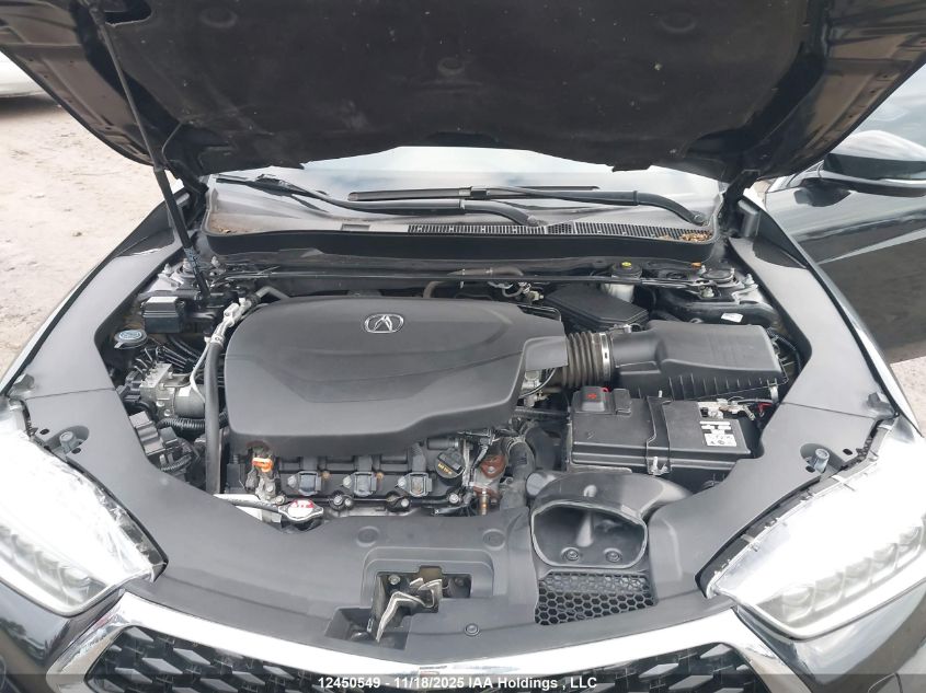 2019 Acura Tlx VIN: 19UUB3F31KA802411 Lot: 12450549