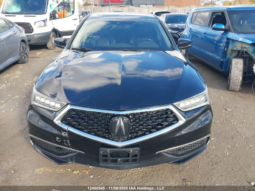 2019 Acura Tlx VIN: 19UUB3F31KA802411 Lot: 12450549