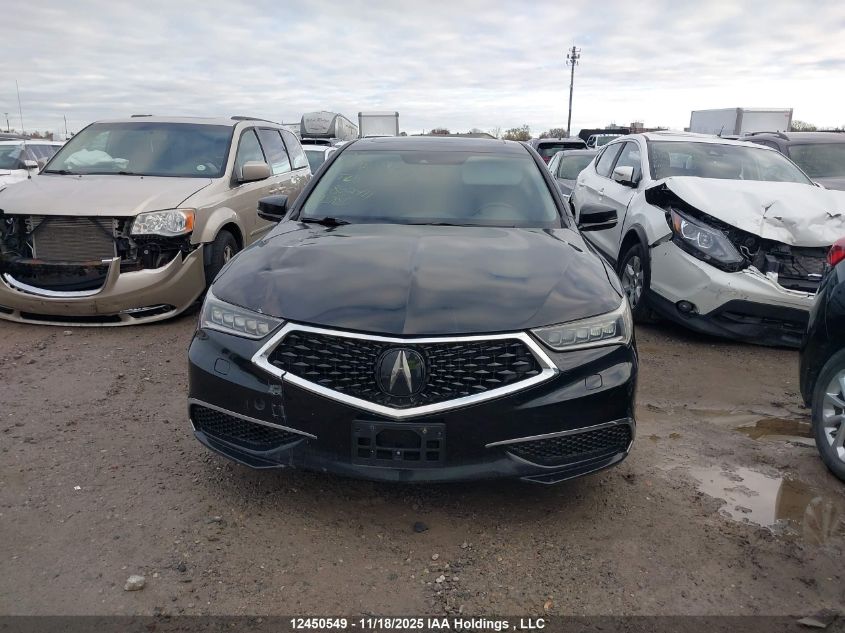 2019 Acura Tlx VIN: 19UUB3F31KA802411 Lot: 12450549