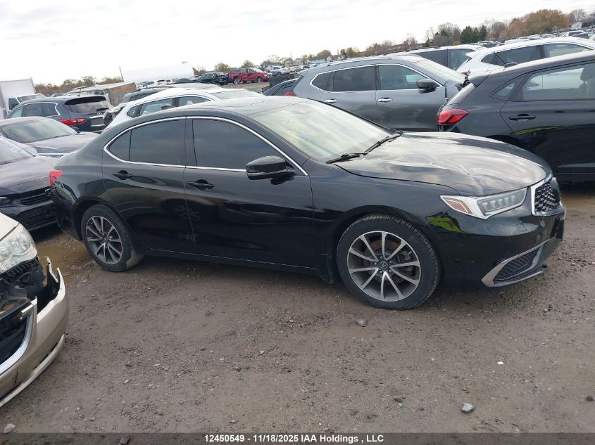 2019 Acura Tlx VIN: 19UUB3F31KA802411 Lot: 12450549
