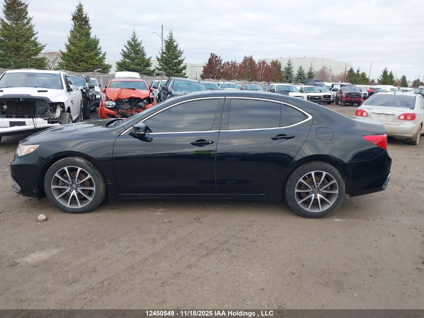 2019 Acura Tlx VIN: 19UUB3F31KA802411 Lot: 12450549