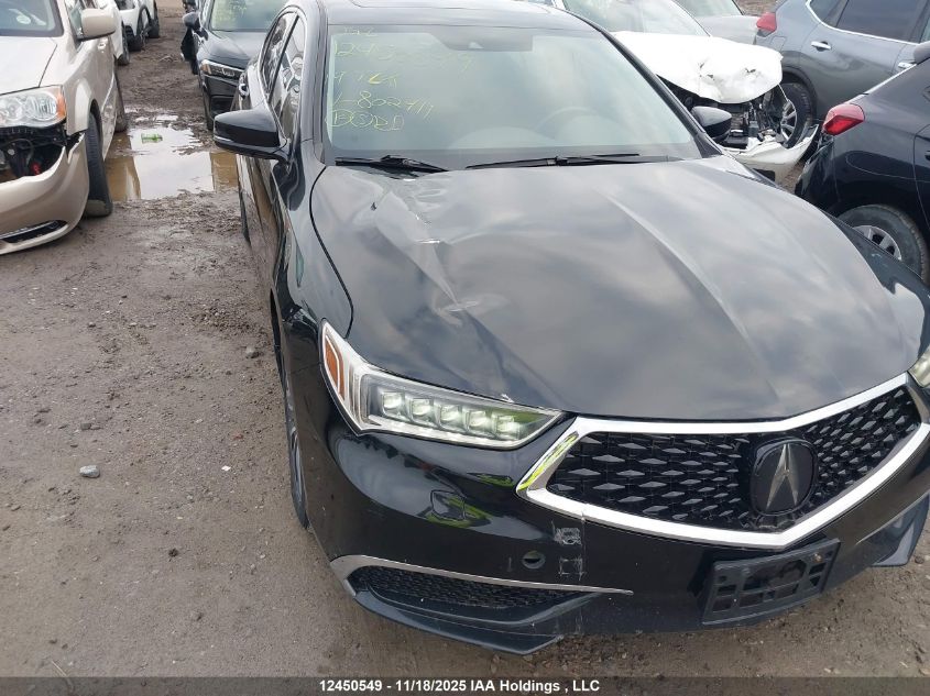 2019 Acura Tlx VIN: 19UUB3F31KA802411 Lot: 12450549