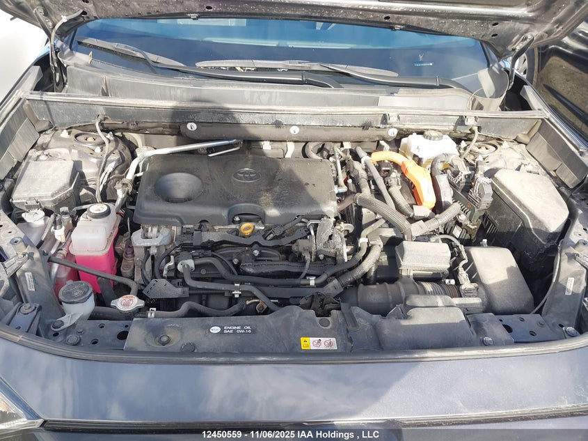 2T3BWRFV6KW022162 2019 TOYOTA RAV 4 photo no. 10