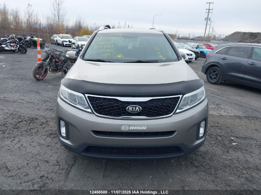 2014 Kia Sorento Lx VIN: 5XYKTCA62EG436581 Lot: 12450580