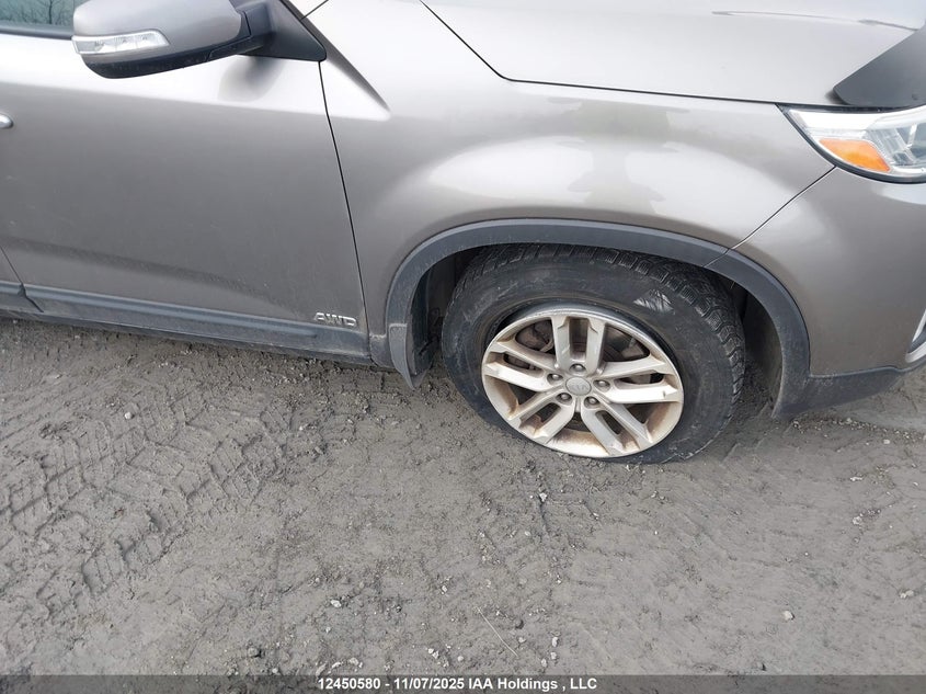 2014 Kia Sorento Lx VIN: 5XYKTCA62EG436581 Lot: 12450580