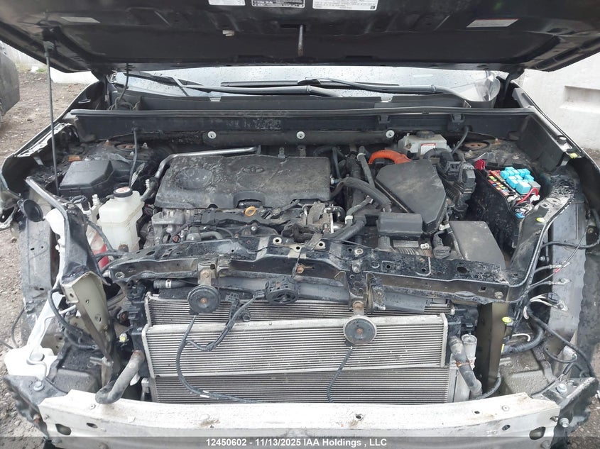 2T3DWRFV1KW003074 2019 TOYOTA RAV 4 photo no. 10