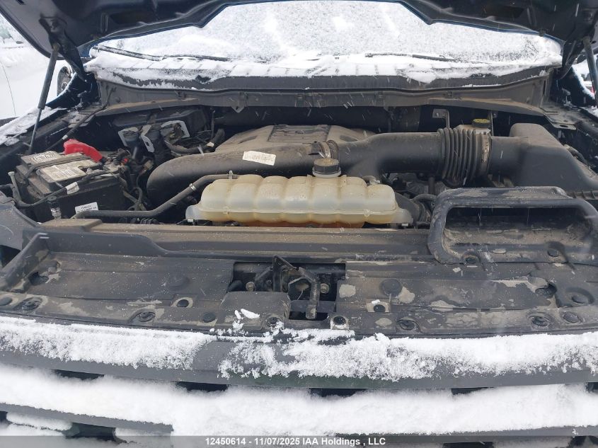 2021 Ford F-150 Xlt VIN: 1FTFW1E85MFB66238 Lot: 12450614