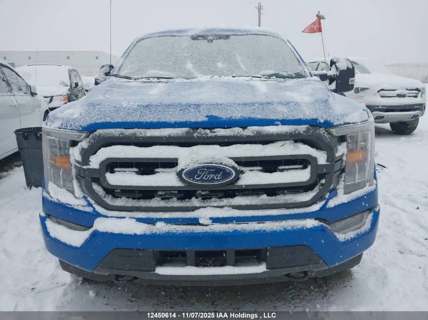 2021 Ford F-150 Xlt VIN: 1FTFW1E85MFB66238 Lot: 12450614