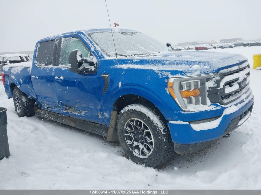 2021 Ford F-150 Xlt VIN: 1FTFW1E85MFB66238 Lot: 12450614