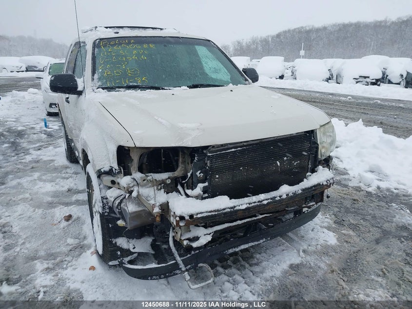 1FMCU0DG6BKC45414 2011 FORD ESCAPE photo no. 6