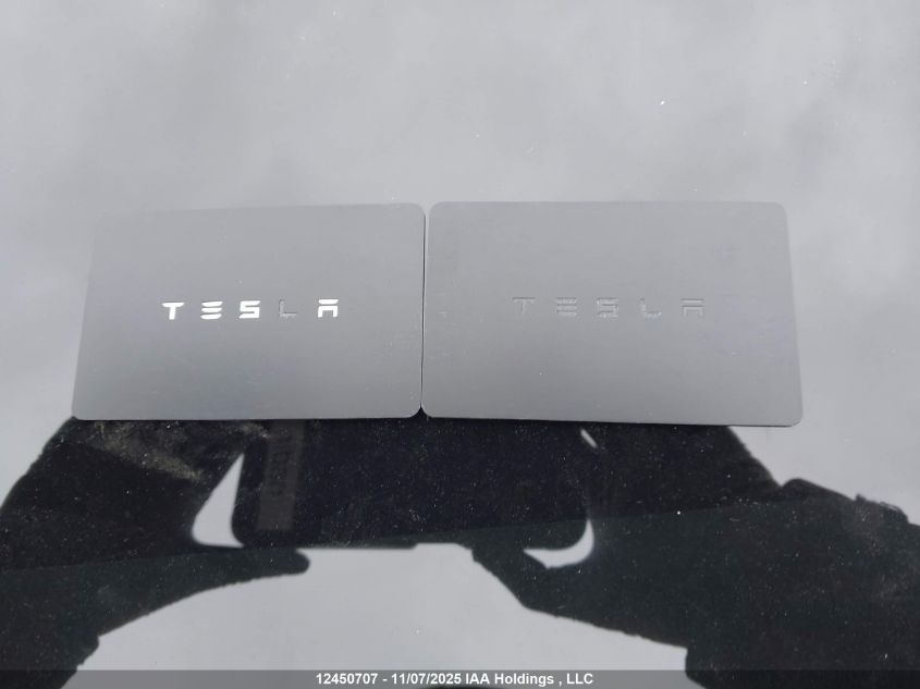 2019 Tesla Model 3 VIN: 5YJ3E1EA3KF411290 Lot: 12450707