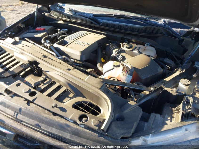 2024 Chevrolet Silverado 1500 Lt Trail Boss VIN: 3GCUDFE81RG461451 Lot: 12450714