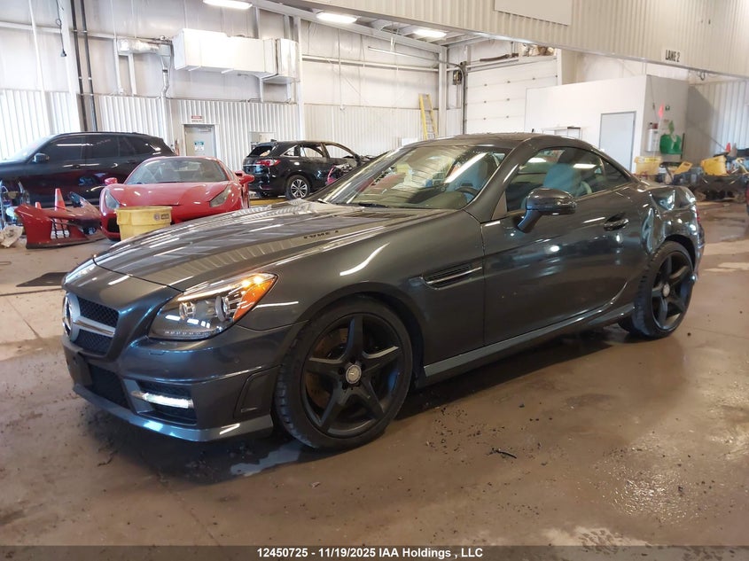 WDDPK5HA1CF007470 2012 MERCEDES-BENZ SLK-KLASSE photo no. 2