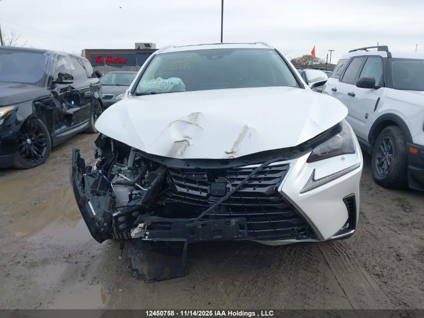 2021 Lexus Nx VIN: JTJGARDZ0M5021977 Lot: 12450758