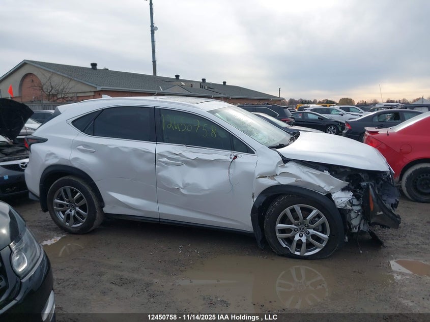 2021 Lexus Nx VIN: JTJGARDZ0M5021977 Lot: 12450758