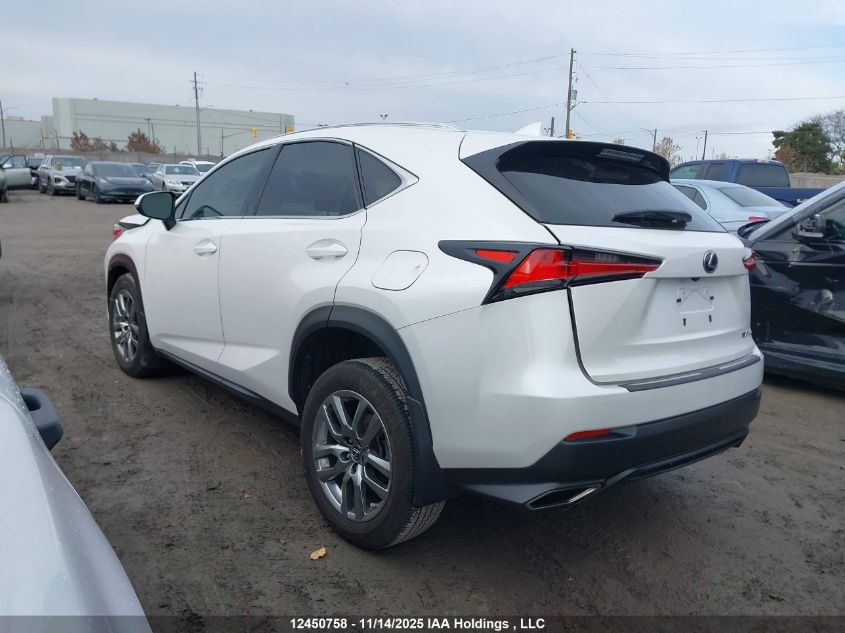 2021 Lexus Nx VIN: JTJGARDZ0M5021977 Lot: 12450758