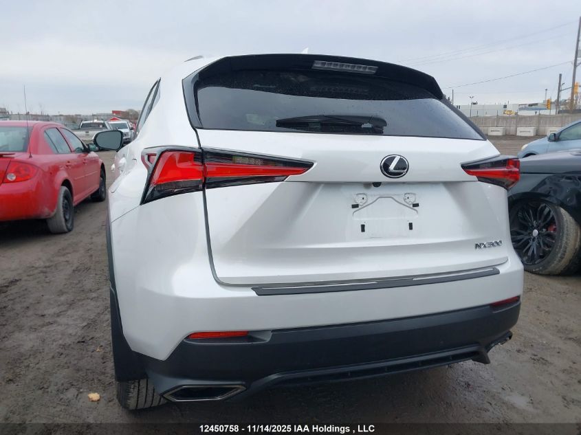2021 Lexus Nx VIN: JTJGARDZ0M5021977 Lot: 12450758