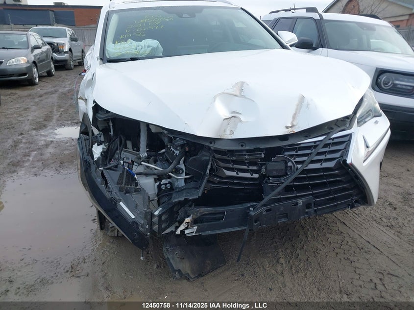 2021 Lexus Nx VIN: JTJGARDZ0M5021977 Lot: 12450758