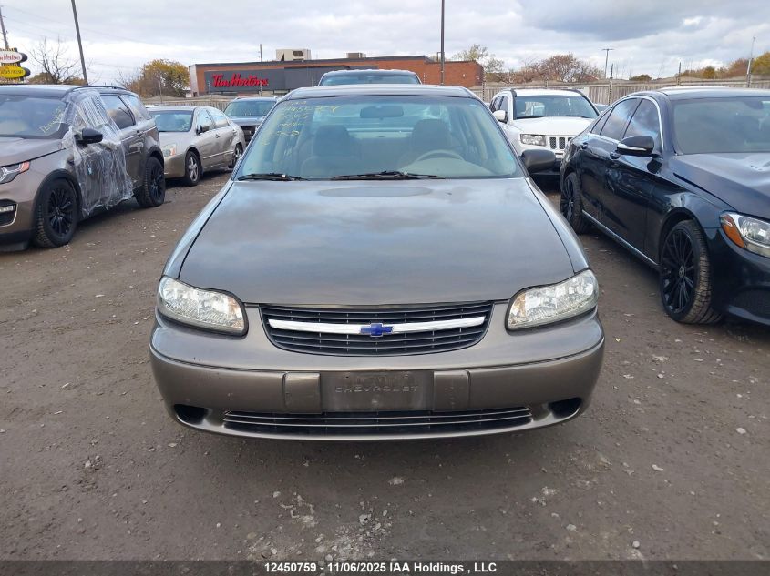 2001 Chevrolet Malibu VIN: 1G1ND52J216188105 Lot: 12450759