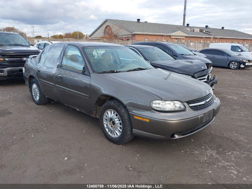 2001 Chevrolet Malibu VIN: 1G1ND52J216188105 Lot: 12450759