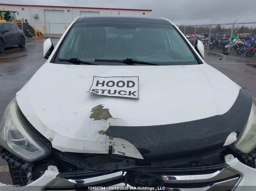 2013 Hyundai Santa Fe Sport VIN: 5XYZUDLA1DG076849 Lot: 12450794